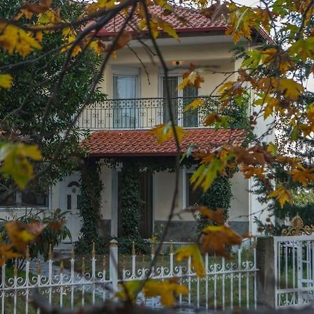 Woods Cottage Loutra Pozar Aridaia Megaplatanos Zewnętrze zdjęcie